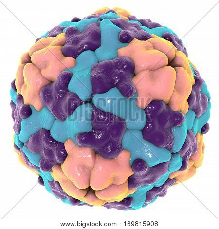 Hepatitis A virus isolated on white background, 3D illustration. A virus transmitted by drinking water and causing hepatitis
