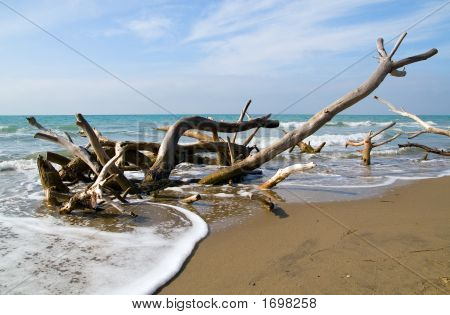 Tirrenian mer