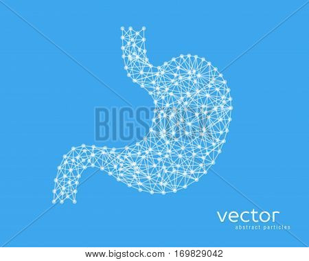 Abstract vector illustration of human stomach on blue background.