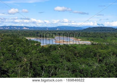 Amazon Forest
