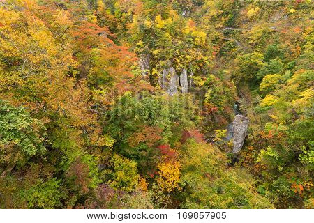 Naruko canyon in autumn season