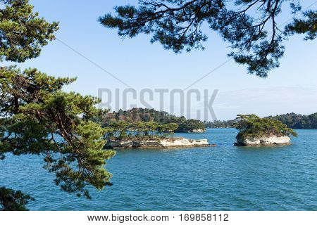 Matsushima with sunny day
