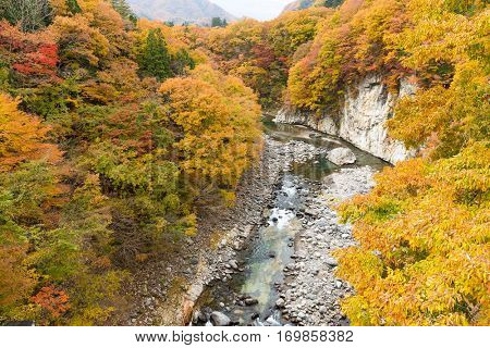 Beautiful Autumn forest and river in Japan