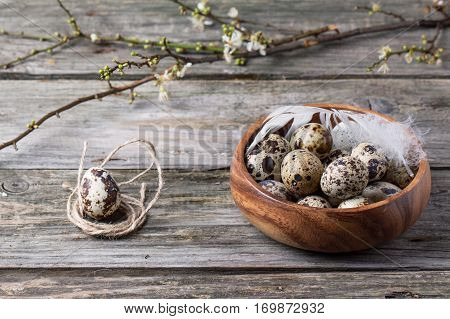 Bowl Of Quail Eggs With Blossom Branch