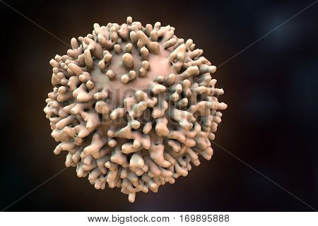 White blood cell, leukocyte, T or B lymphocyte, 3D illustration