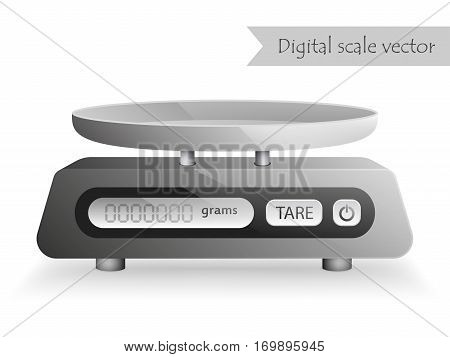 Silver digital kitchen scale vector isolated on white background