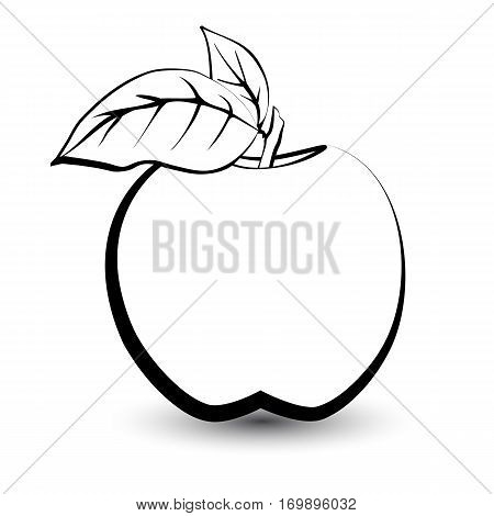 Outline sketch monochrome apple. Black and white elegant contour of the fruit. Drawing for coloring and design packaging for juices diet food.