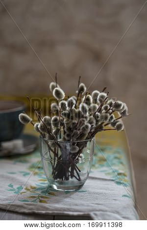Willow branches in a glass. Spring still life