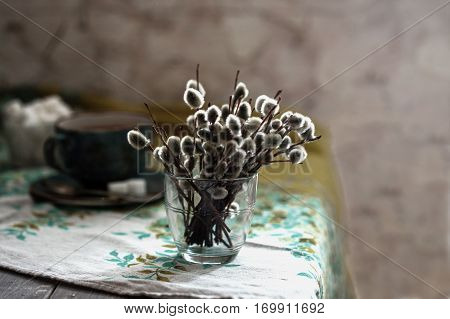Willow branches in a glass. Spring still life
