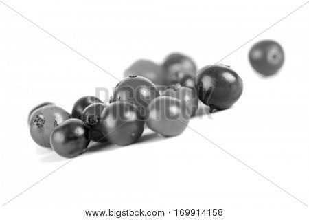 Cranberries on white background - studio shot