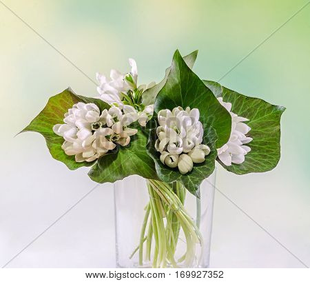 White Galanthus Flowers, Bouquet, Floral Arrangement (snowdrop, Milk Flower), In Romanian Know As 