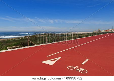 Red Bike Lane on a Sunny day