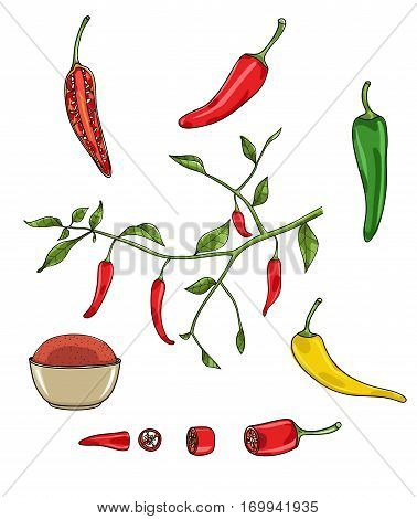 chilli peppers vector set art illustration , set, variation, food, isolated, paprika, spice,