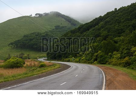Twisting road. Foggy forest. Foggy road. Misty asphalt road