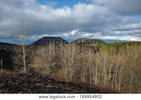 bare woods of betulla aetnensis and old craters of Nuovo and Lepre Mounts in Etna Park, Sicily 