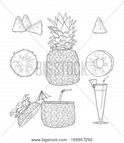 Pineapple. Fruit Vector Set Line Art Hand Drawn  Cute Cartoon Illustration