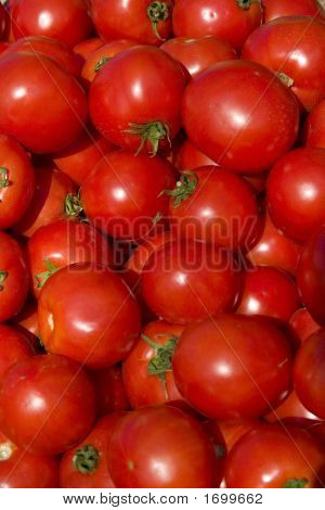 Pomodori (1490)
