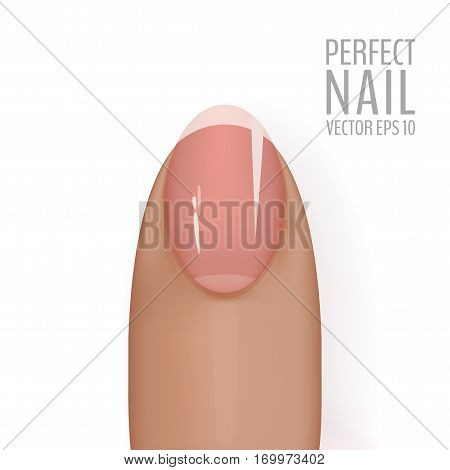 Glossy and healthy manicured nail on white background