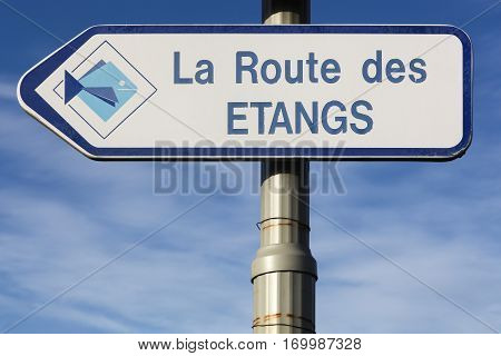 Bouligneux, France - February 1, 2017: Road of ponds in Dombes region.  Dombes is a marshy area in France with hundreds of ponds and a wide range of birds species