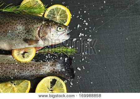 Trout fish on natural slate background with rosemary and lemon