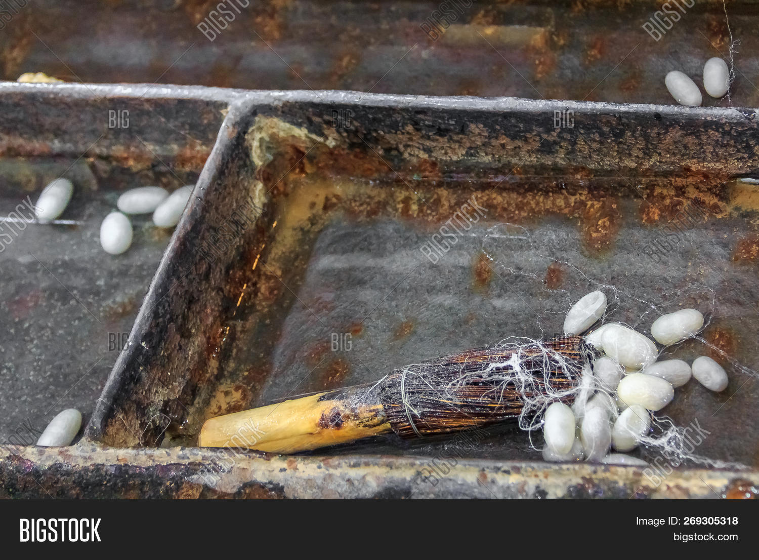 Process For Making Silk Thread Process Making Silk Image & Photo (Free Trial) | Bigstock