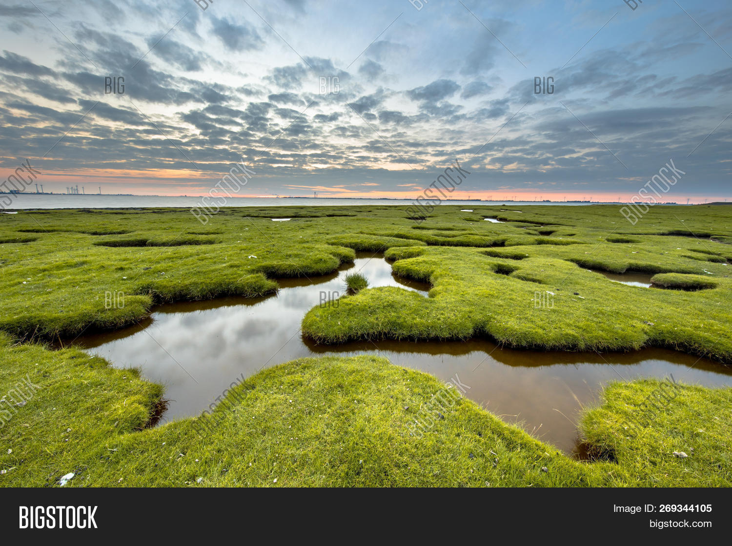 Erosion Holes Tidal Image & Photo (Free Trial) | Bigstock