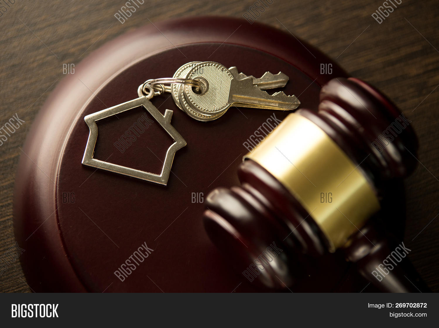 Judge Auctioneer Image & Photo (Free Trial) | Bigstock