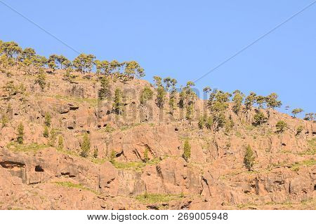 Spanish View Landscape In Gran Canaria Tropical Volcanic Canary Islands Spain