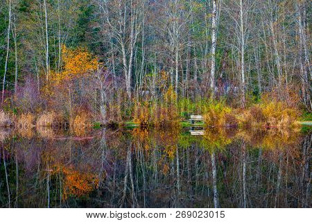 Fall colors in full display at lake Cowichan, Vancouver Island, Canada