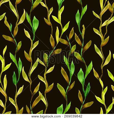 Simlpe Seamless Seaweed Pattern. Abstract Watercolor Free Hand Drawn Illustration For Wrapping, Back