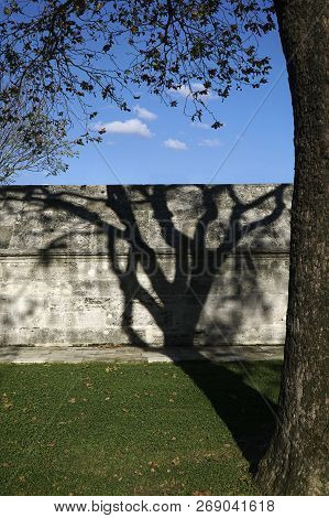 Tree And Shadow At Autumn In A Garden