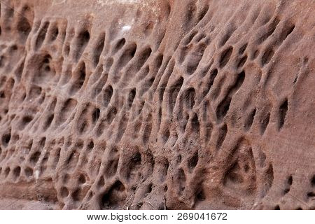 Tafoni Weathering In Red Natural Sandstone Wall.