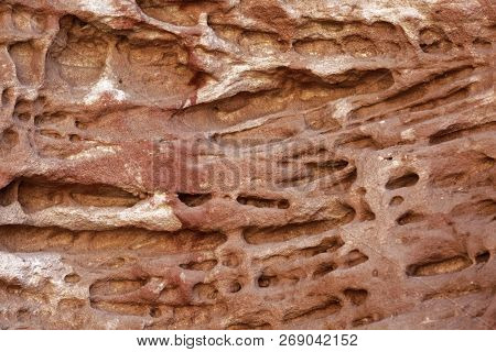 Tafoni Weathering In Red Natural Sandstone Wall.