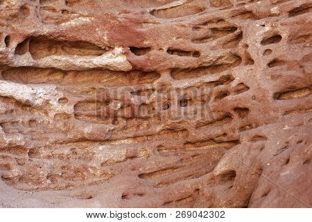 Tafoni Weathering In Red Natural Sandstone Wall.