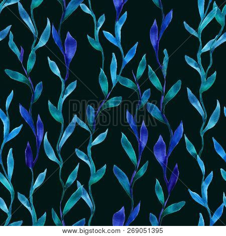 Simlpe Seamless Seaweed Pattern. Abstract Watercolor Free Hand Drawn Illustration For Wrapping, Back