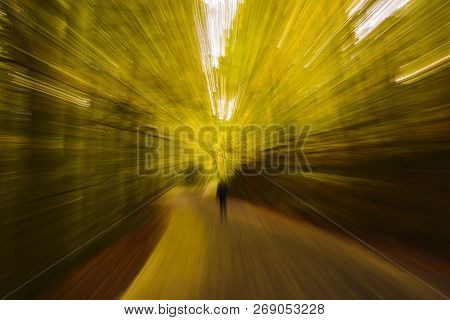 Abstract Blurry Yellow Fall Forest - Look Like Time Travel Or Teleportation.someone Is Walking On Th