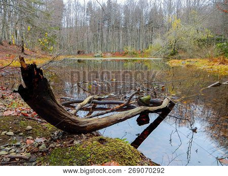 Autumnal Landscape Of Penna Lake, A Small Mountain Pond On Penna Mount, In The Aveto Regional Natura