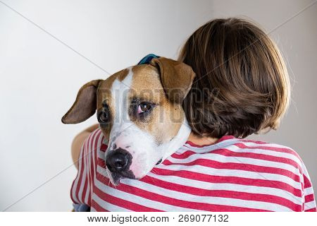 Love And Kindness To Animals Concept. Woman Hugs Her Dog In Studio Background
