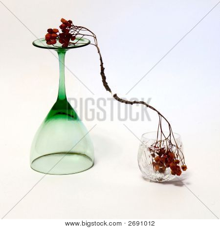 Bicchiere di vino e il ramoscello Ashberry