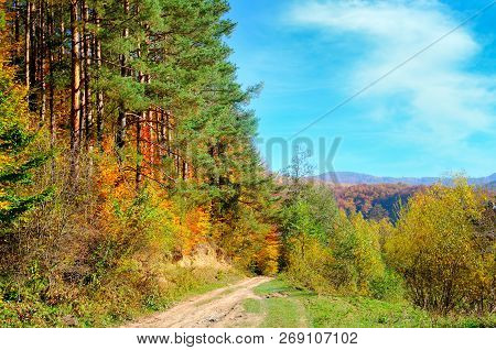 Colorful Autumn Landscape With Picturesque Forest And Old Country Road. Sunny Morning Scene In Carpa