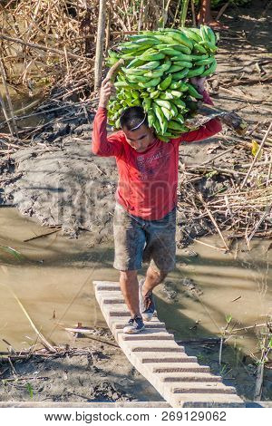 Napo, Peru - July 15, 2015: Cargo Boat Crew Transports Bunches Of Plantains To The Boat Deck. Cargo 