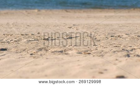 Sandstorm And Strong Wind On The Sea Beach.