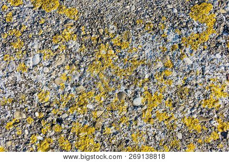 Stone Texture With Yellow Moss. Abstract Background Closeup. Stock Image.