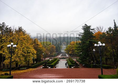Misty Vake Park