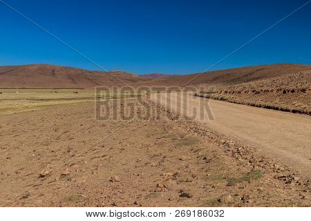 Road At Aguanapampa Area At Bolivian Altiplano
