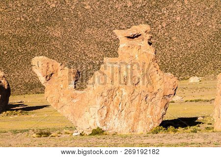 Rock Formation Called Camel In Italia Perdida In Bolivia