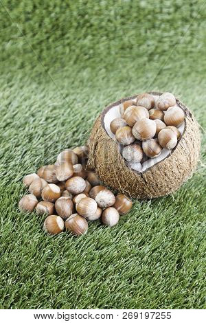 Coco With Raw Hazelnuts, Detail Of A Coconut Open And A Closed Hazelnuts