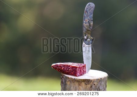 Close-up Of Folding Pocket Knife Stuck Vertically In Tree Stump And Piece Of Sausage Outdoors On Dar