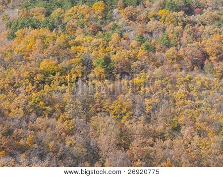 Amiata Natural Park