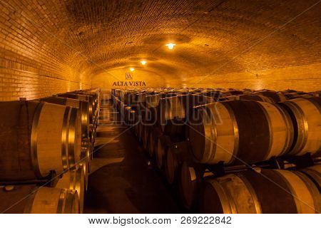 Chacras De Coria, Argentina - Aug 1, 2015: Wine Cellar Of Winery Altavista In Chacras De Coria Villa